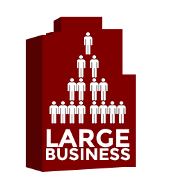 Large Business